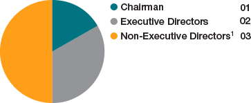 Balance Of Non Executive Directors Executive Director